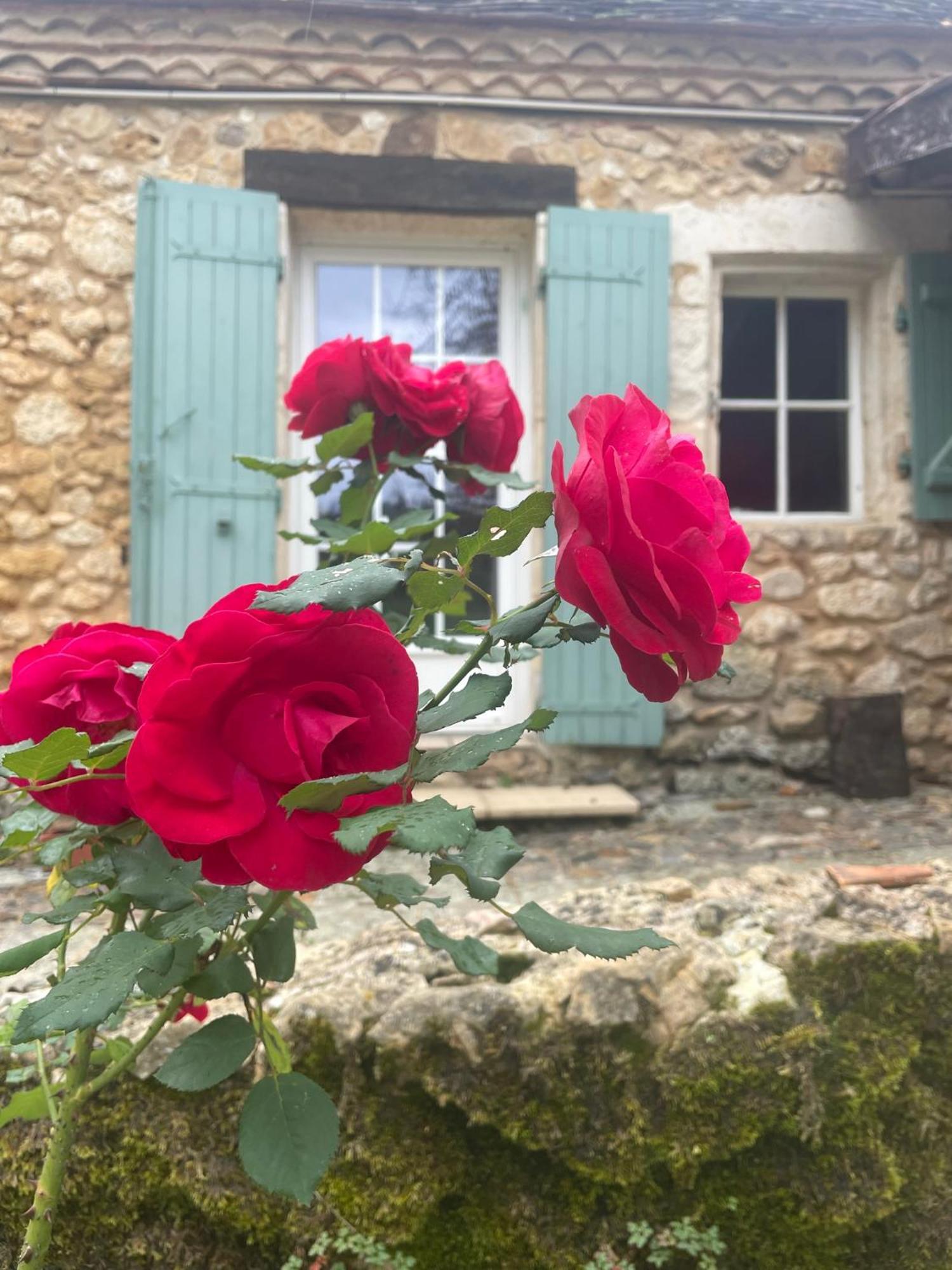 Bed and Breakfast Les Rocailles Lamonzie-Montastruc Exterior foto