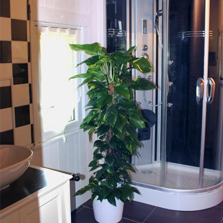 Bed and Breakfast Les Rocailles Lamonzie-Montastruc Exterior foto